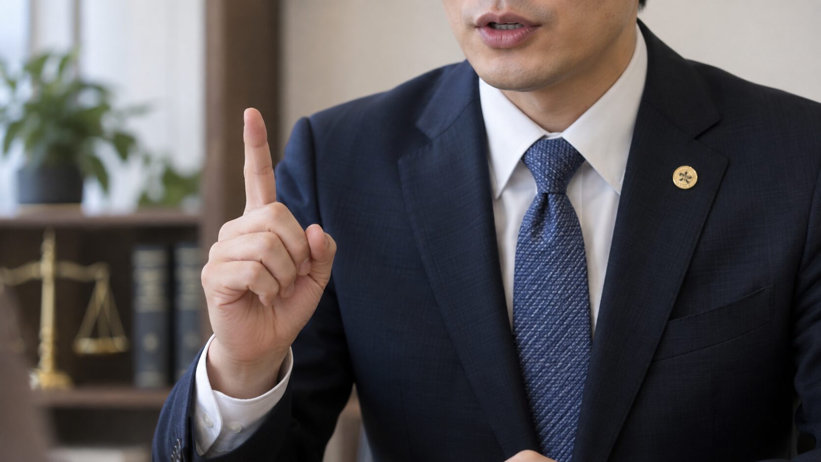 弁護士が解説をしている様子